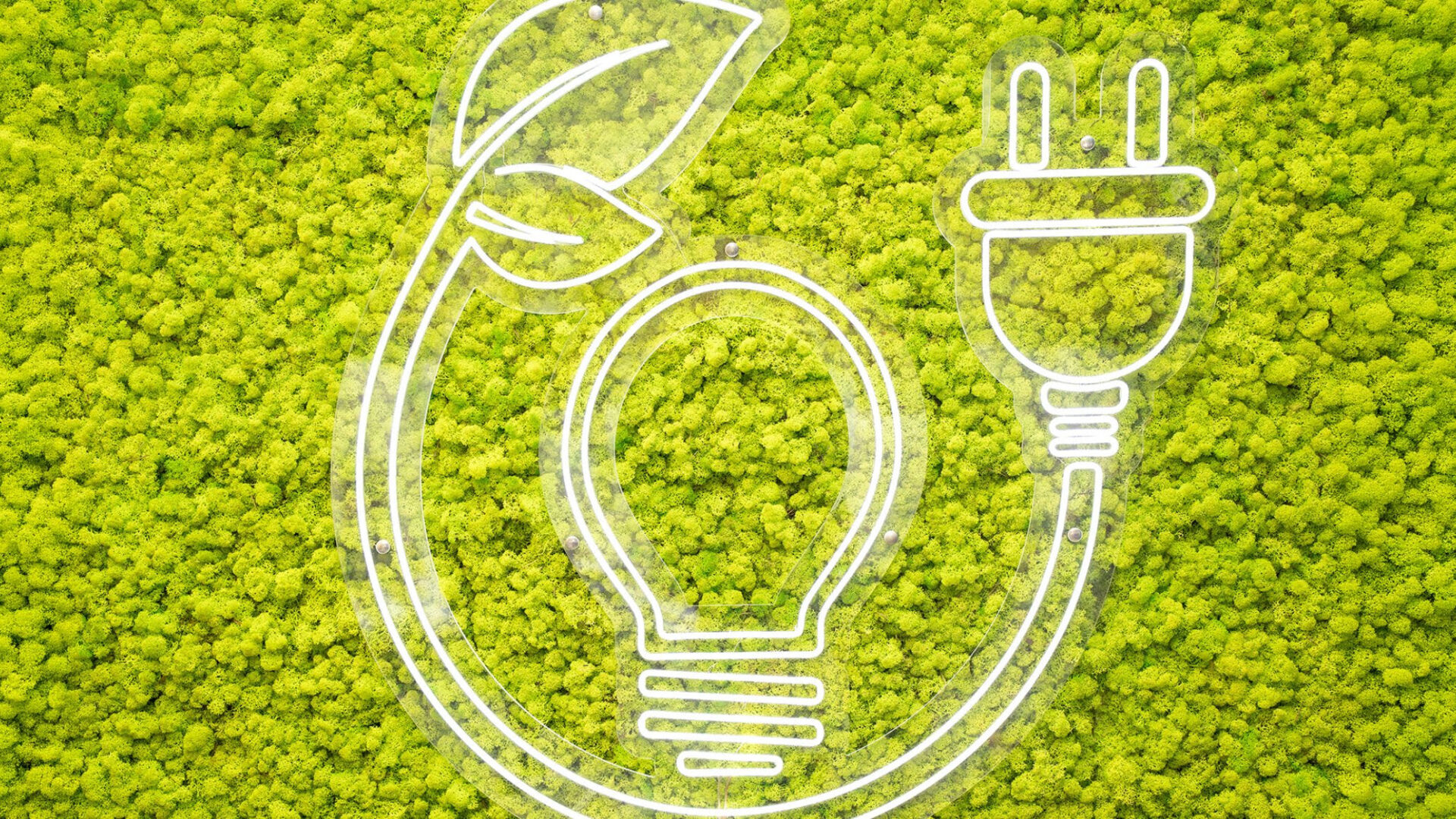 Insegne luminose per negozio e comunicazione visiva del punto vendita